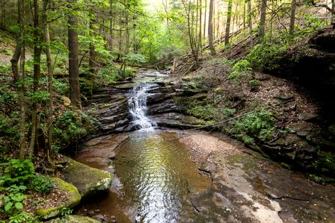 Tiny photo for 0 Turkey Trl Trail, Dunlap, TN 37327 (MLS # 1358711)