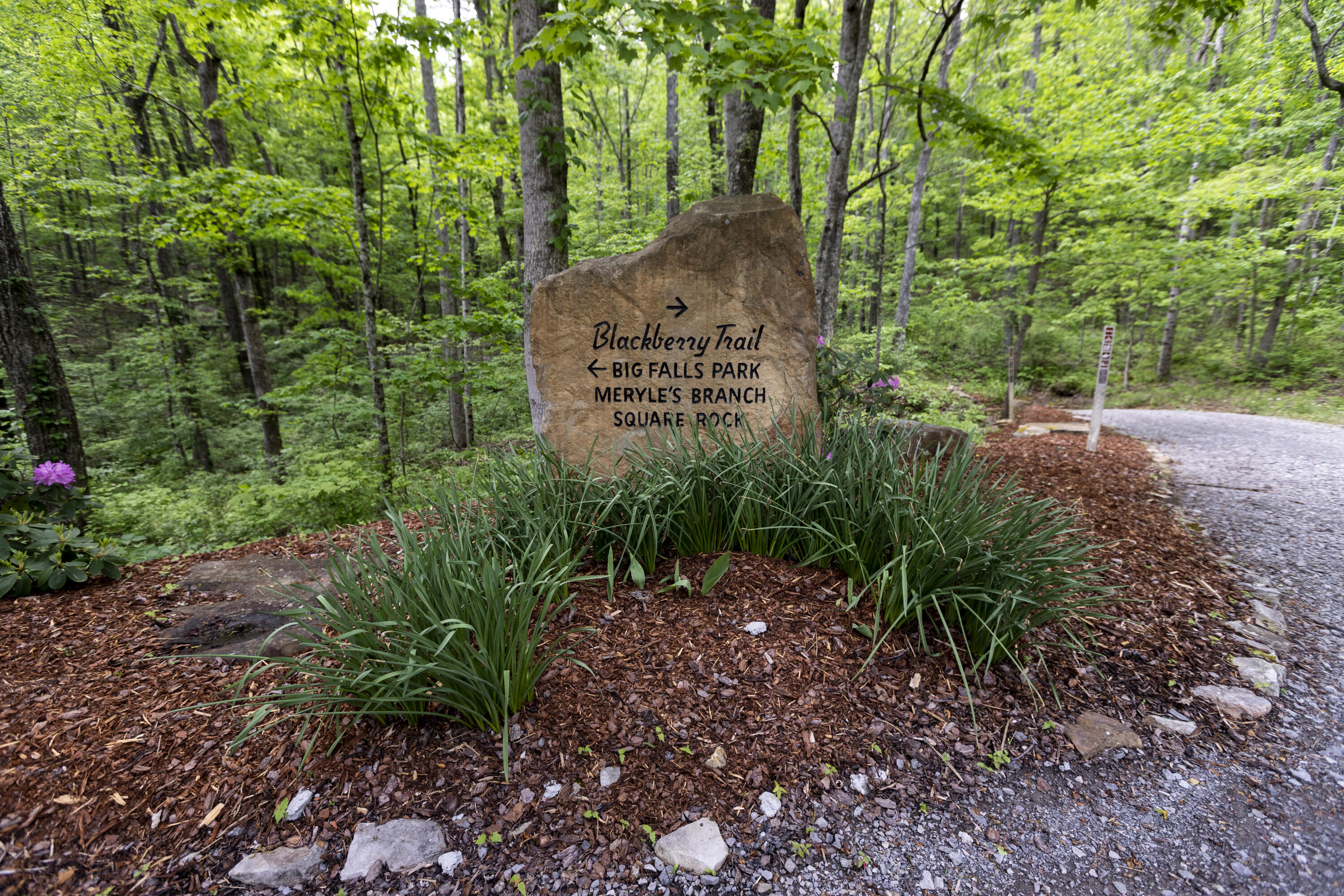 Turkey Trl Trail, Dunlap, Tennessee image 18
