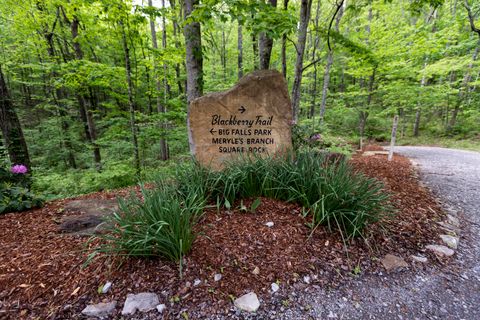 Tiny photo for 0 Turkey Trl Trail, Dunlap, TN 37327 (MLS # 1358711)