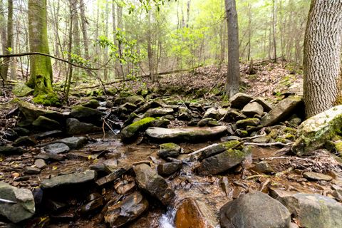 Tiny photo for 0 Turkey Trl Trail, Dunlap, TN 37327 (MLS # 1358711)