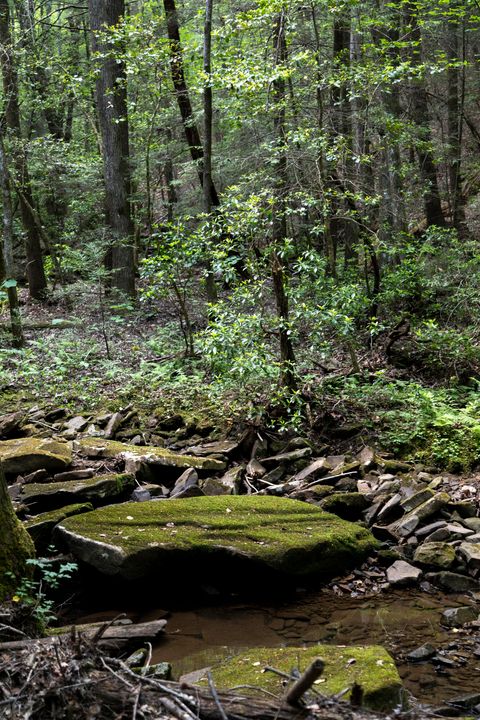 Tiny photo for 0 Turkey Trl Trail, Dunlap, TN 37327 (MLS # 1358711)