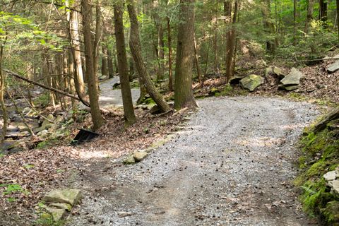 Tiny photo for 0 Turkey Trl Trail, Dunlap, TN 37327 (MLS # 1358711)