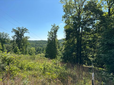 Vacant Land For Sale - LOT 21-25 Van Davis Road<br/> Georgetown, TN 37336