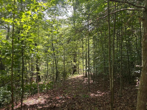 Vacant Land For Sale - LOT 202 Deep Woods Drive<br/> Dunlap, TN 37327