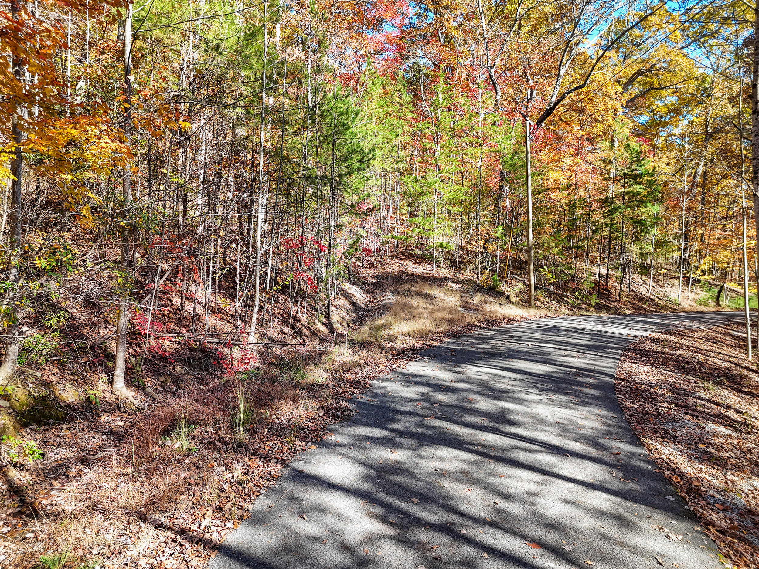 Lot 202 Deep Woods Drive 202