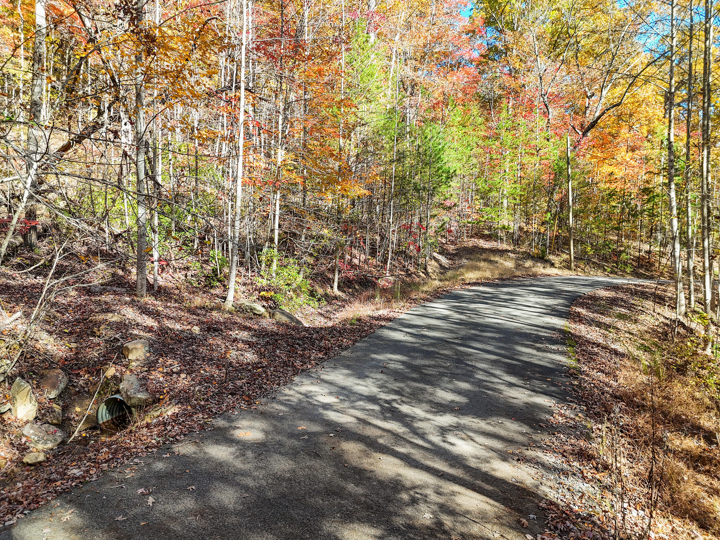 Lot 202 Deep Woods Drive 202
