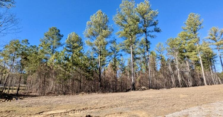 Buck Crossing Drive #LOT 1030, Guild, Tennessee image 17