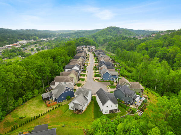1742 Seven Pines Lane, Chattanooga, Tennessee image 27