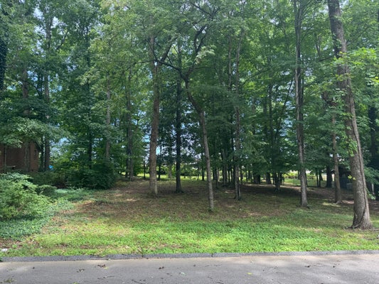 EDGEWOOD CIR NW, CLEVELAND, TN 37312 - Image 88ba2c4c05ffd1d43beb7e07537e1dc2/4011811961