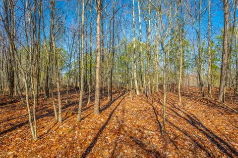 Tiny photo for 0 Cherokee Path, Jasper, TN 37347 (MLS # 1528628)