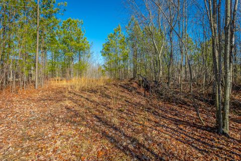 Tiny photo for 0 Cherokee Path, Jasper, TN 37347 (MLS # 1528628)