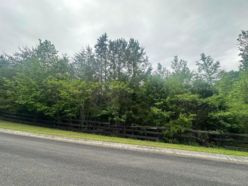 00 Mowery Circle, Charleston, Tennessee image 6