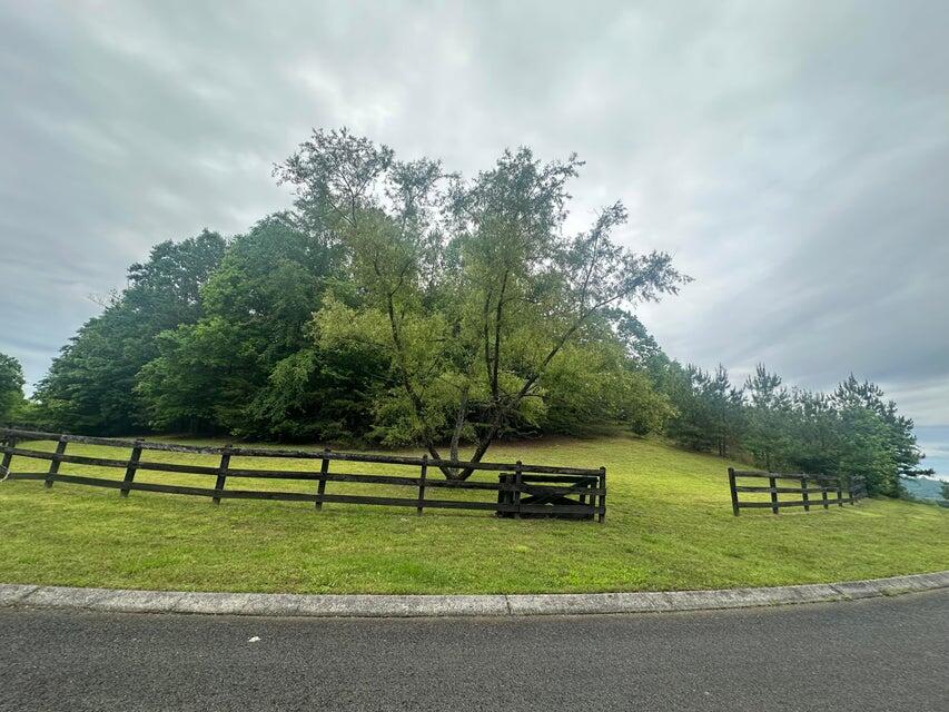 00 Mowery Circle, Charleston, Tennessee image 1