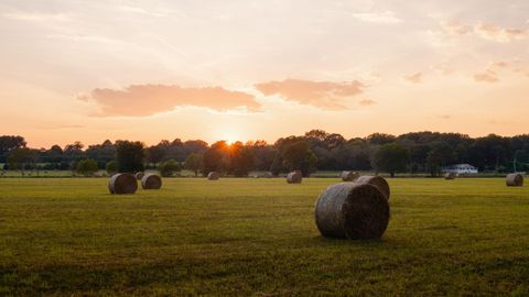 Photo of 0 Gilliam Road, Gurley, AL 35748 (MLS # 1522975) Photo of 0 Gilliam Road, Gurley, AL 35748 (MLS # 1522975)