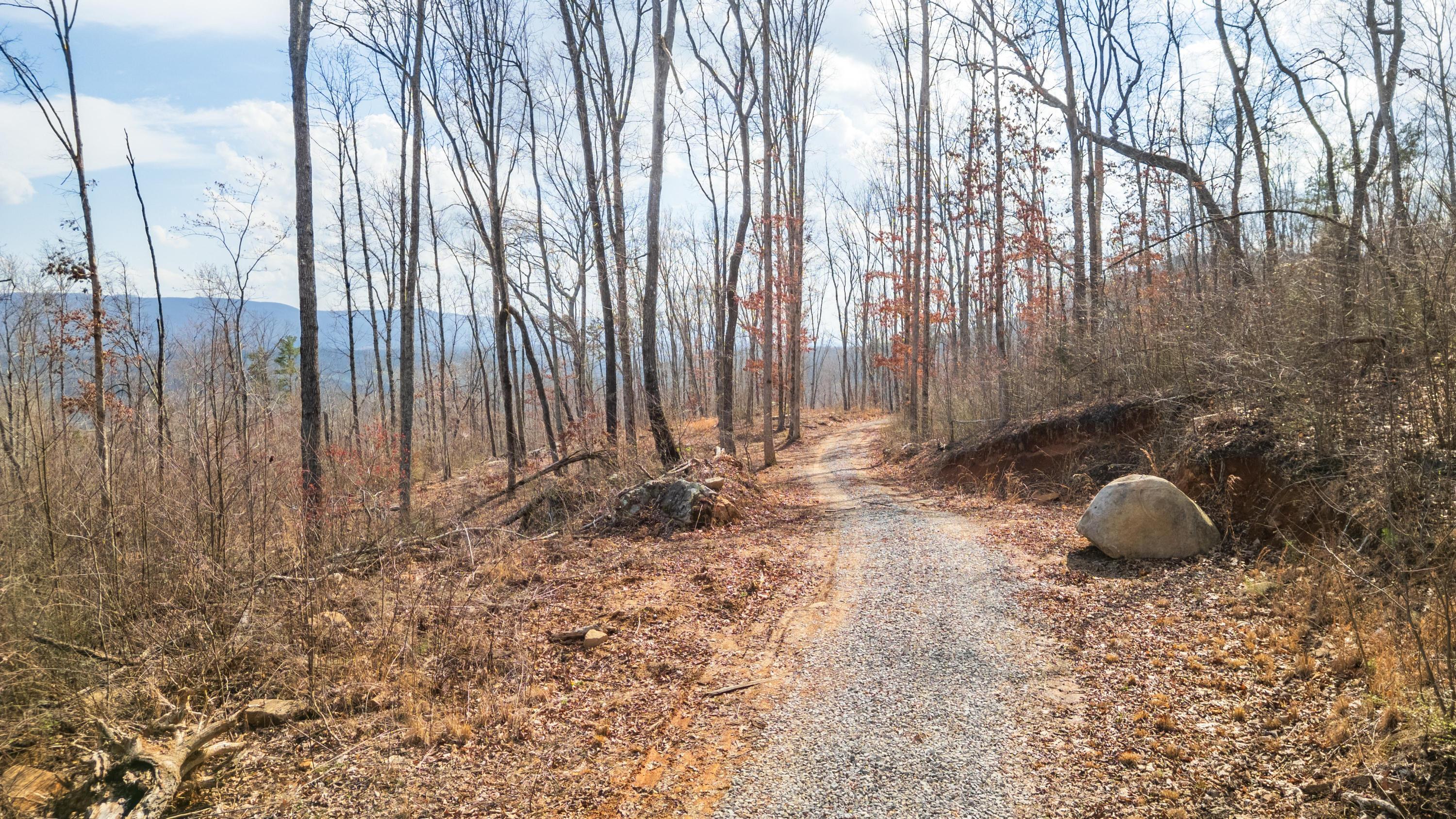 Bench Road #TRACT 90, Pikeville, Tennessee image 17