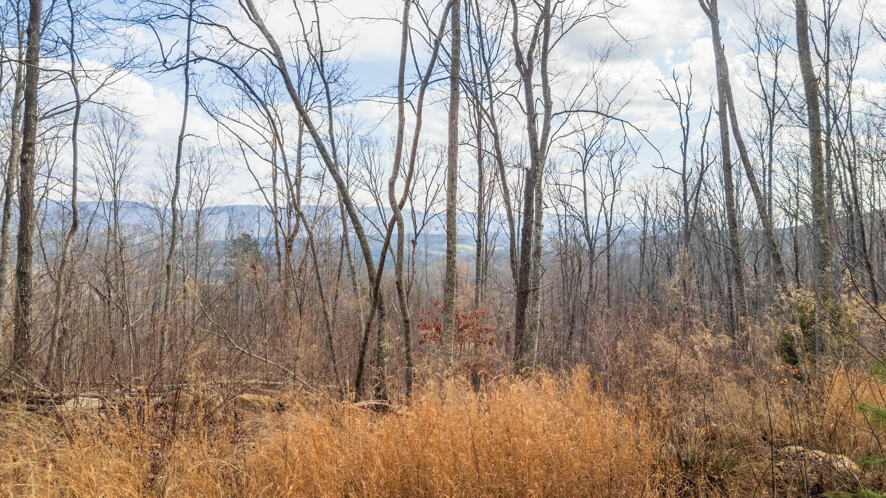 Bench Road #TRACT 90, Pikeville, Tennessee image 19