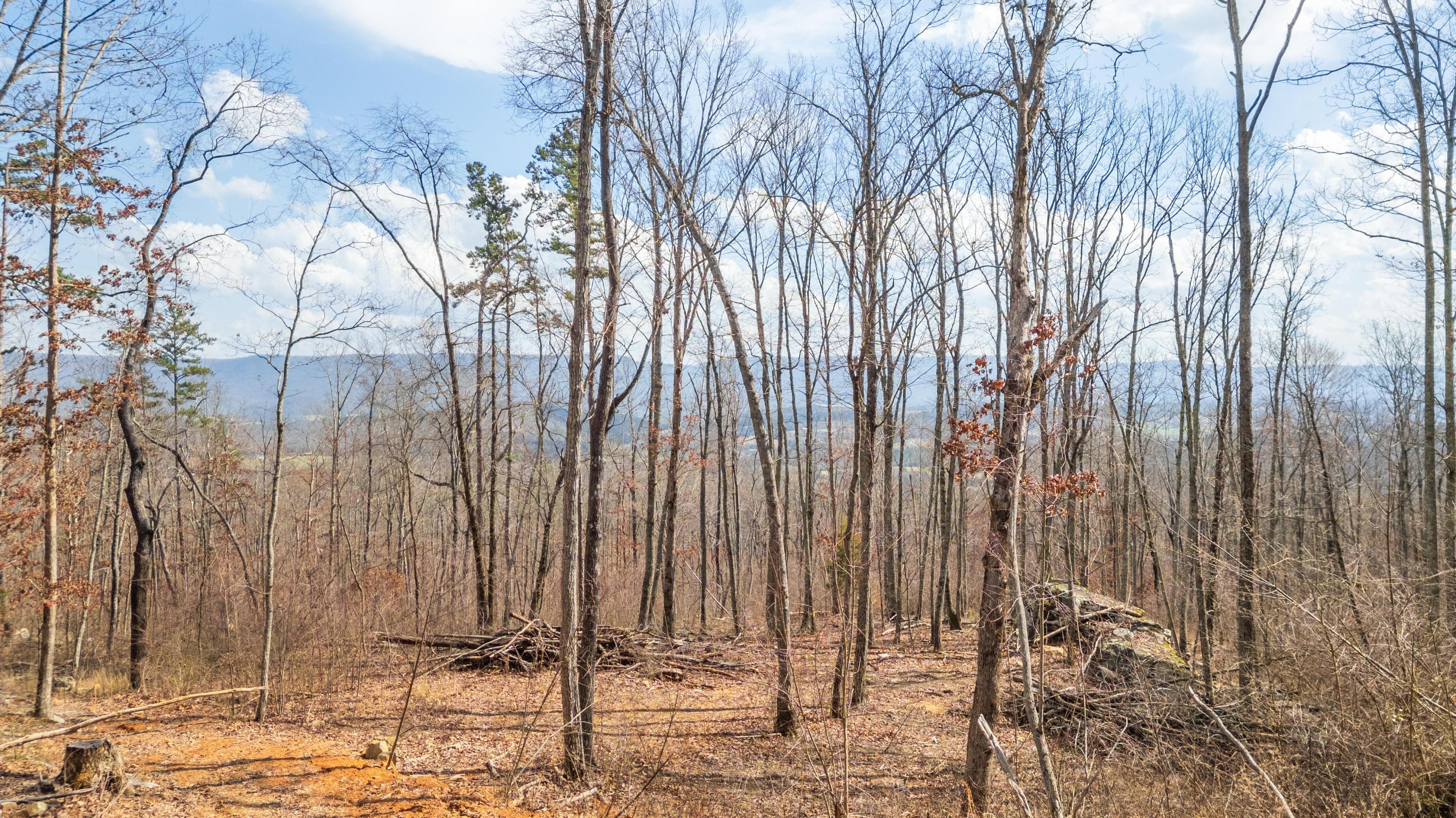 Bench Road #TRACT 90, Pikeville, Tennessee image 14