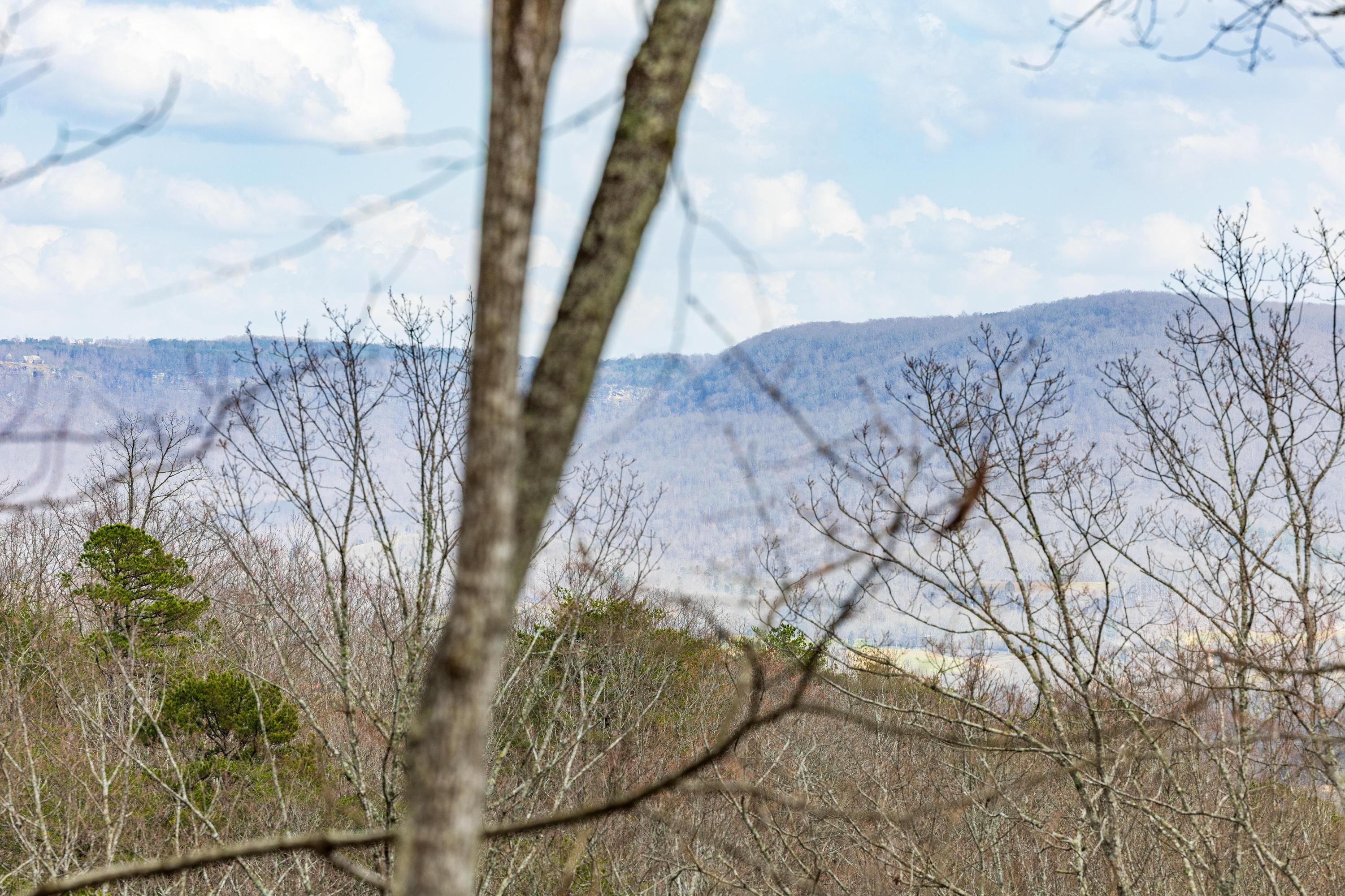 Bench Road #TRACT 90, Pikeville, Tennessee image 21