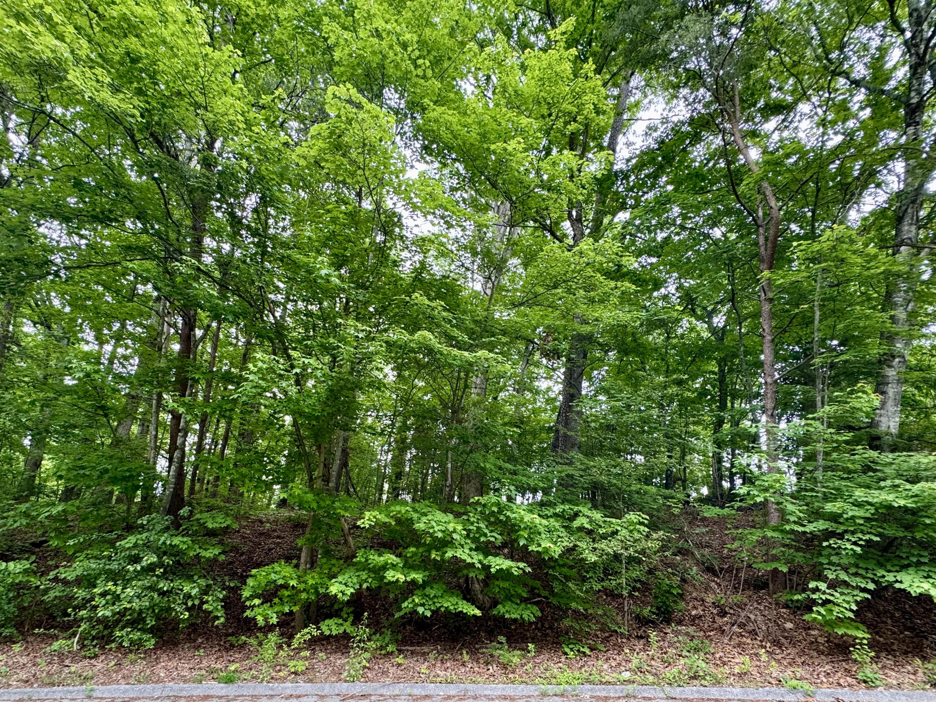 1988 Warwickshire Drive, Soddy Daisy, Tennessee image 3