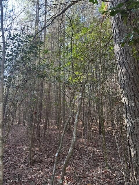 Tiny photo for Tract 6 50th Avenue, Gruetli Laager, TN 37339 (MLS # 1527004)
