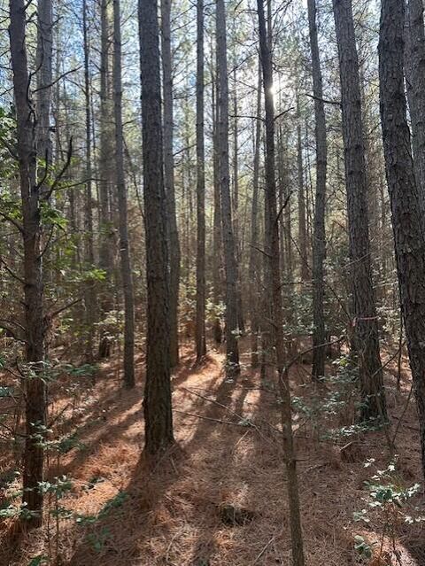 Tiny photo for Tract 6 50th Avenue, Gruetli Laager, TN 37339 (MLS # 1527004)