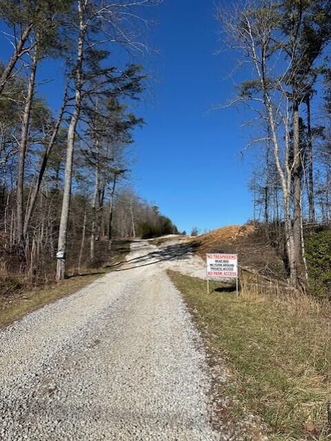 Tiny photo for Tract 6 50th Avenue, Gruetli Laager, TN 37339 (MLS # 1527004)