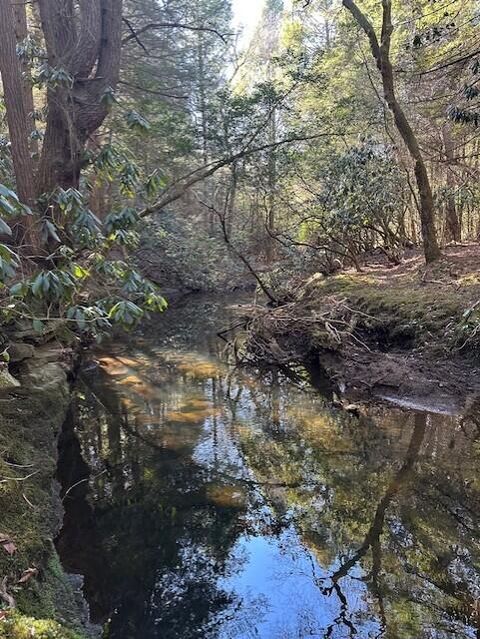 Tiny photo for Tract 6 50th Avenue, Gruetli Laager, TN 37339 (MLS # 1527004)