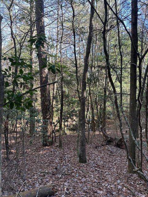 Tiny photo for Tract 6 50th Avenue, Gruetli Laager, TN 37339 (MLS # 1527004)