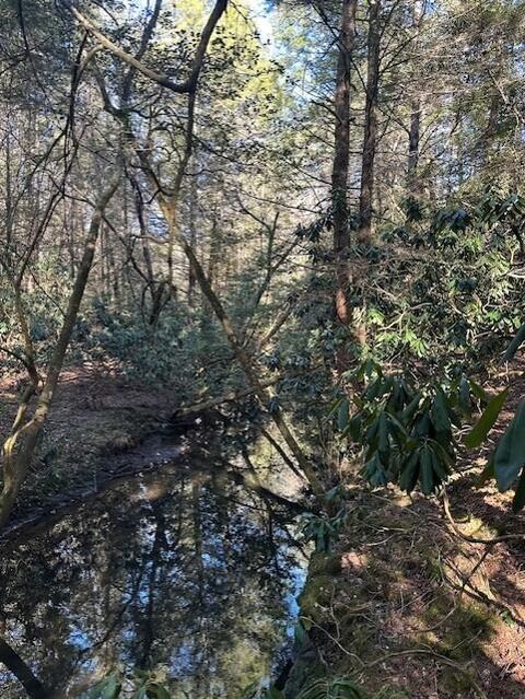 Tiny photo for Tract 6 50th Avenue, Gruetli Laager, TN 37339 (MLS # 1527004)