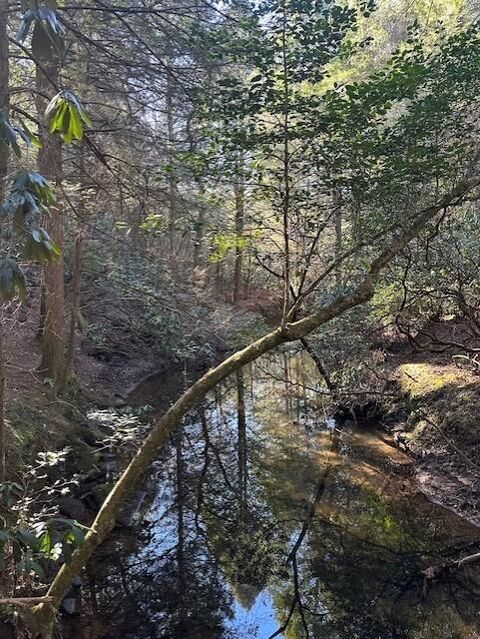 Tiny photo for Tract 6 50th Avenue, Gruetli Laager, TN 37339 (MLS # 1527004)