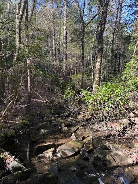 Tiny photo for Tract 6 50th Avenue, Gruetli Laager, TN 37339 (MLS # 1527004)