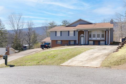 Tiny photo for 317 Shady Crest Drive, Chattanooga, TN 37415 (MLS # 1528093)
