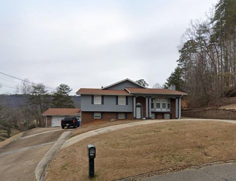 Photo of 317 Shady Crest Drive, Chattanooga, TN 37415 (MLS # 1528093)