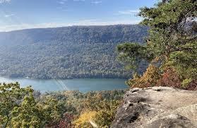 Highway 27, Whitwell, Tennessee image 11