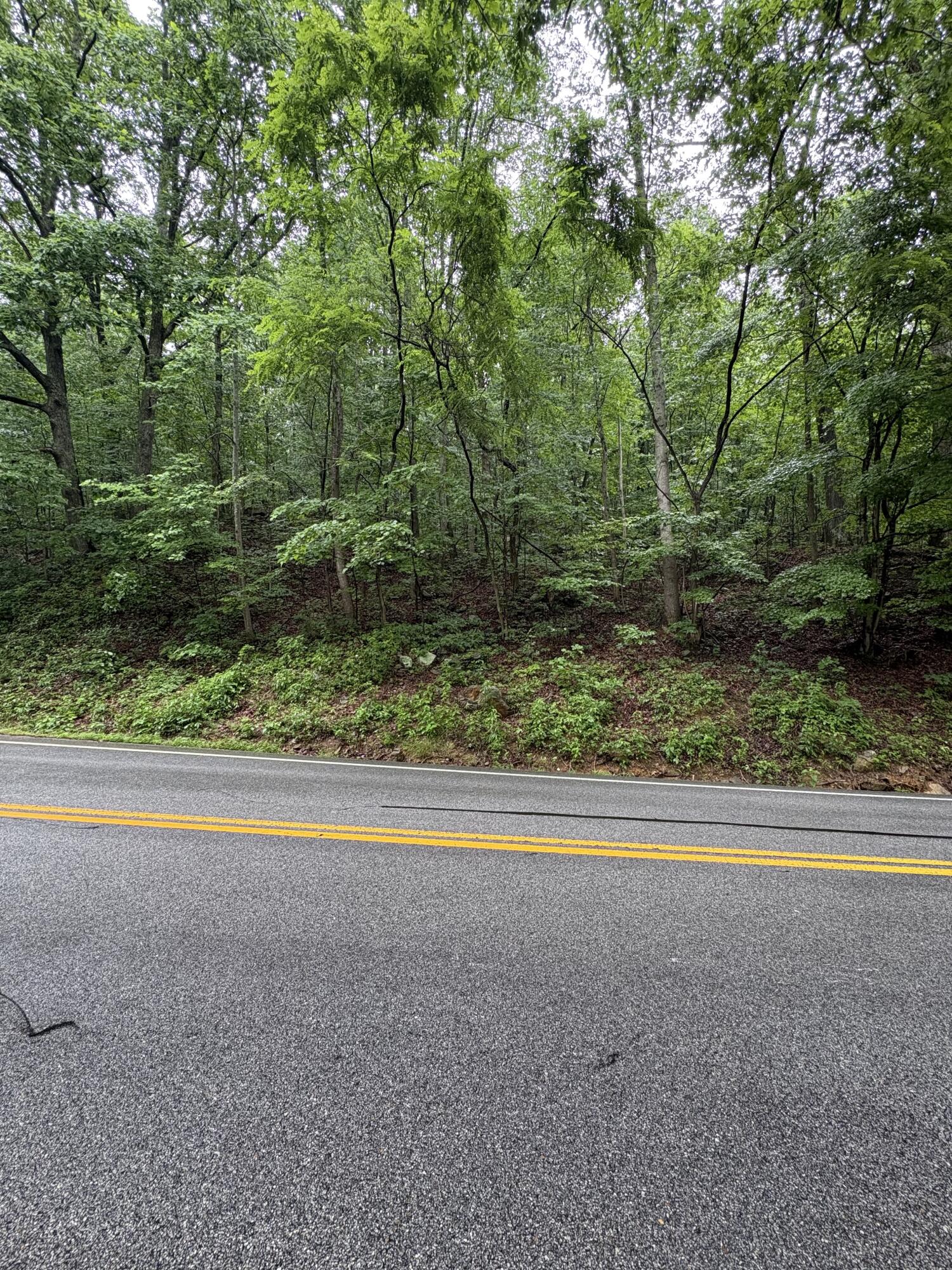 Highway 27, Whitwell, Tennessee image 3