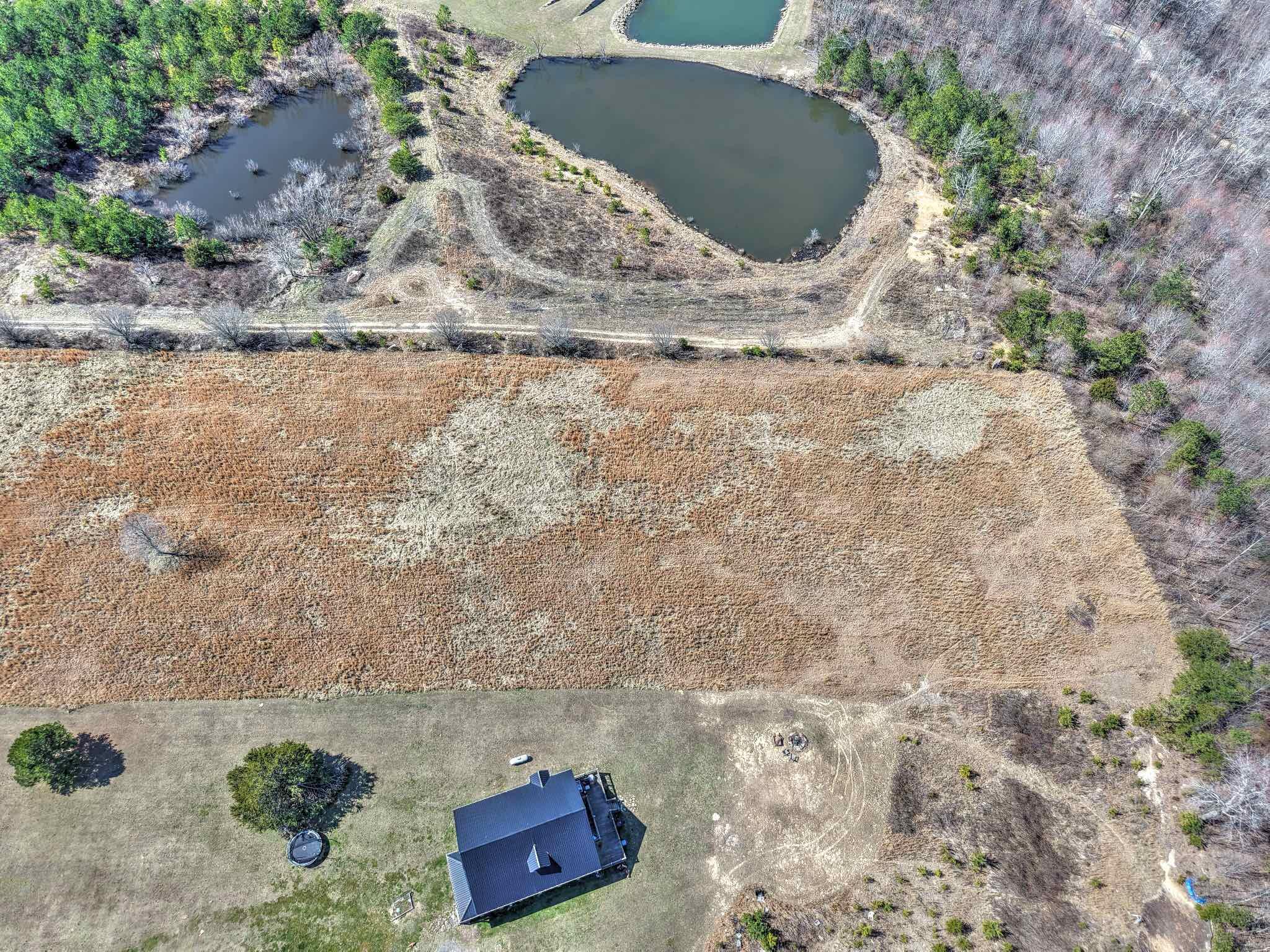 Land, Bryant, Alabama image 10