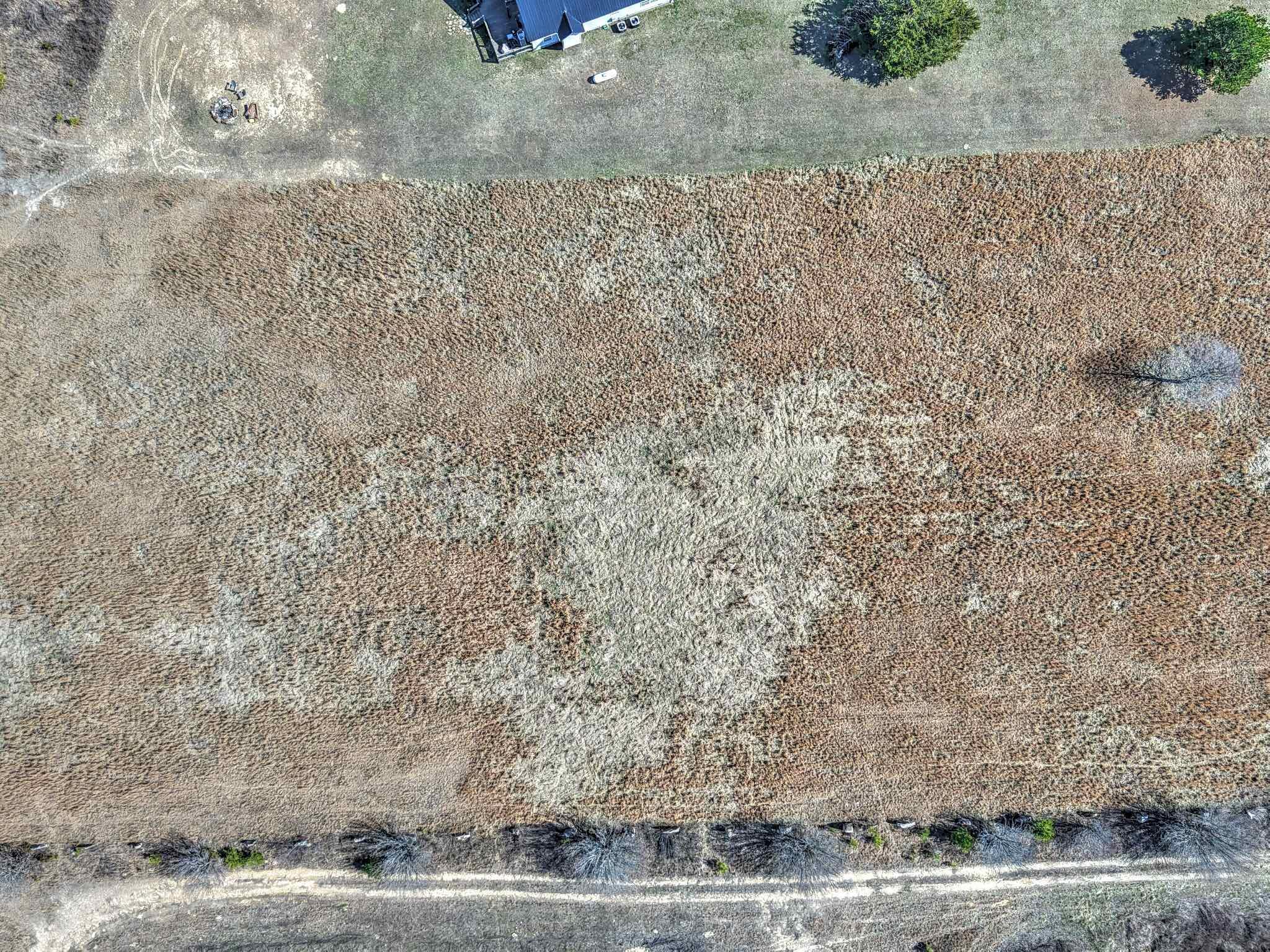 Land, Bryant, Alabama image 15