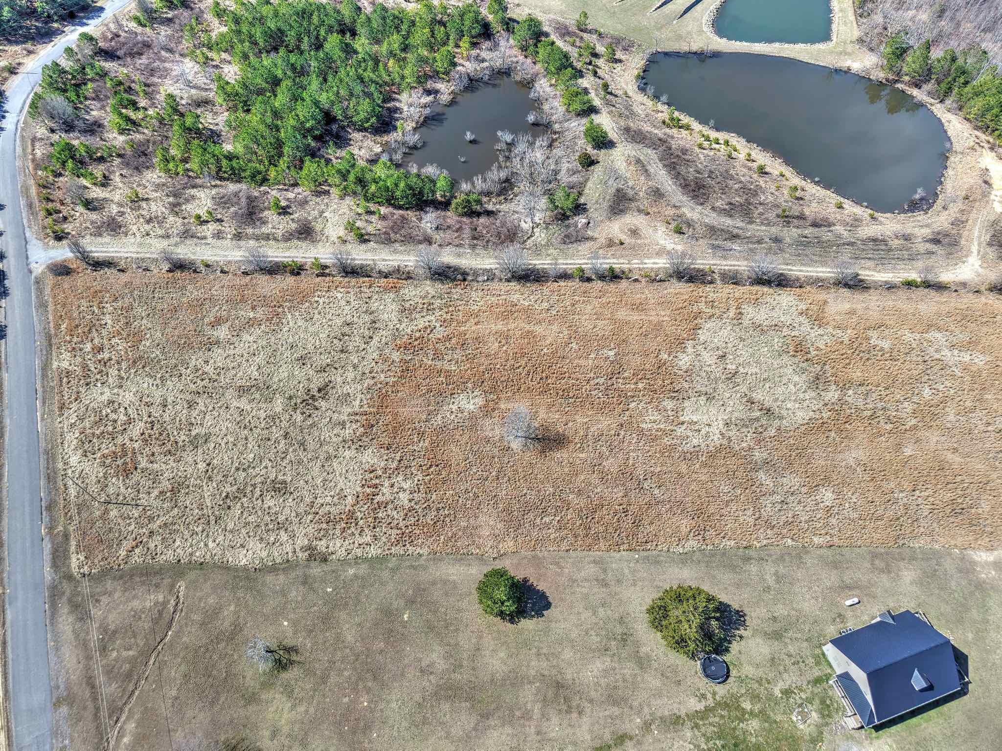 Land, Bryant, Alabama image 9