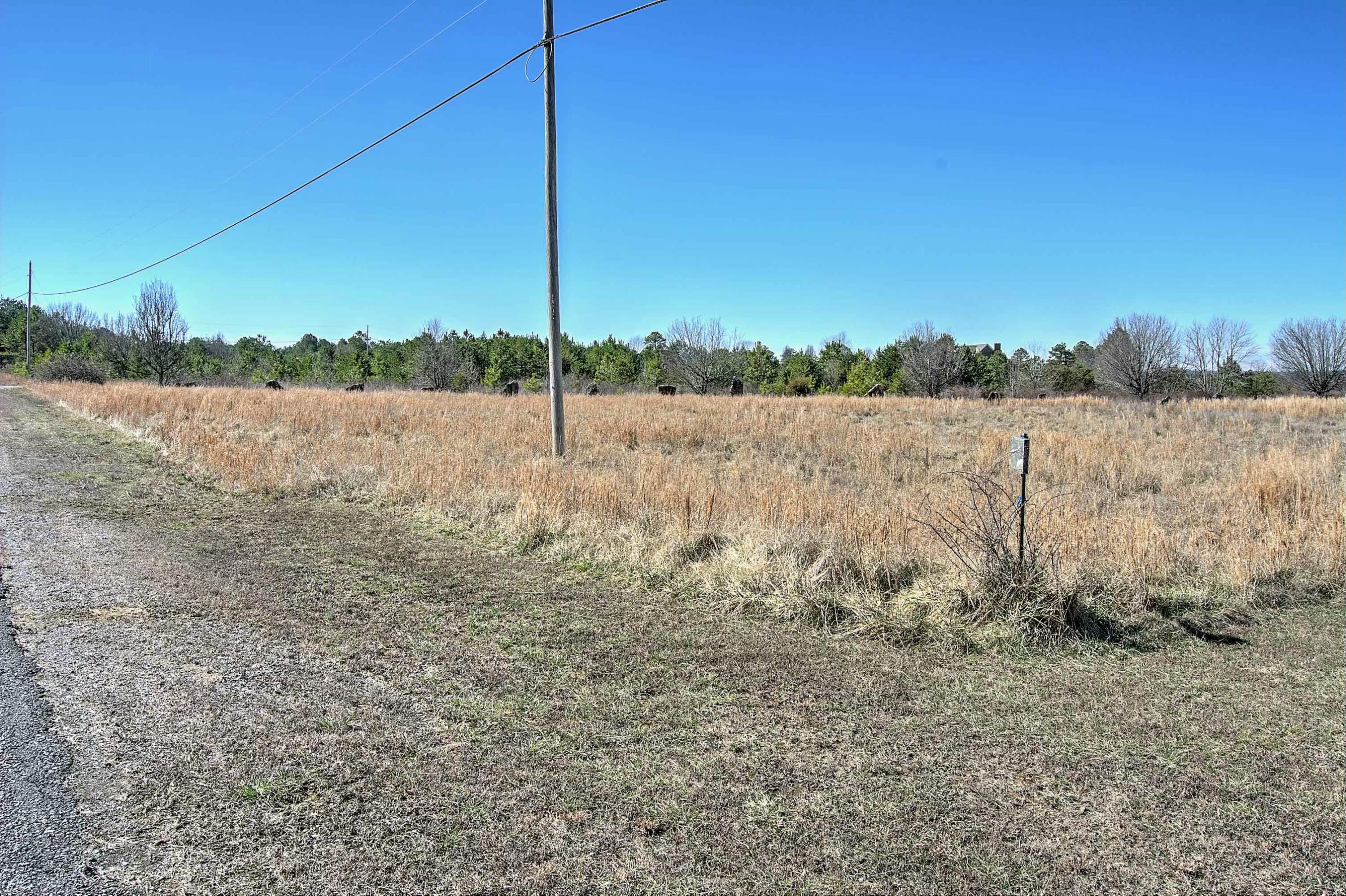 Land, Bryant, Alabama image 5