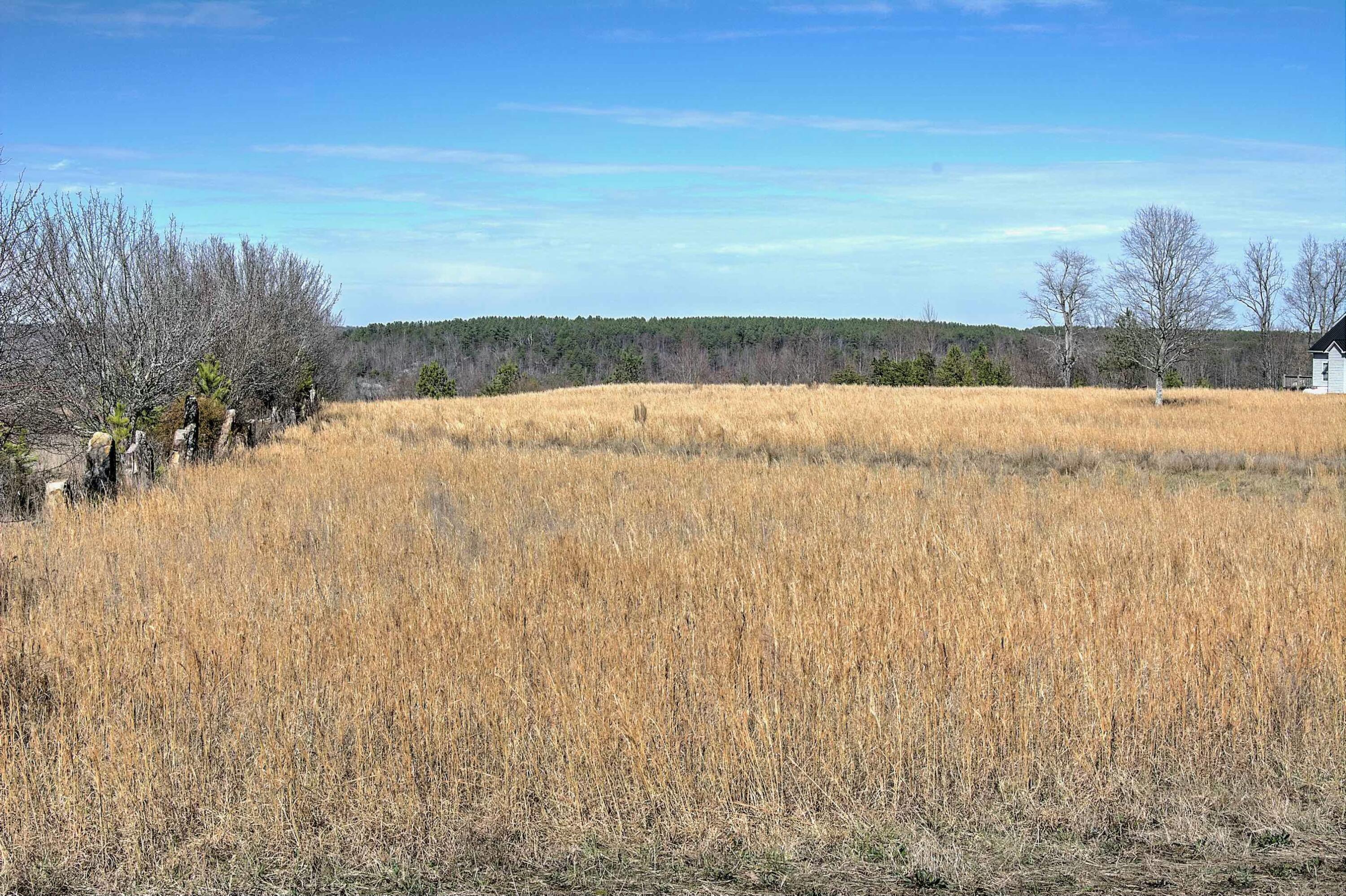 Land, Bryant, Alabama image 3