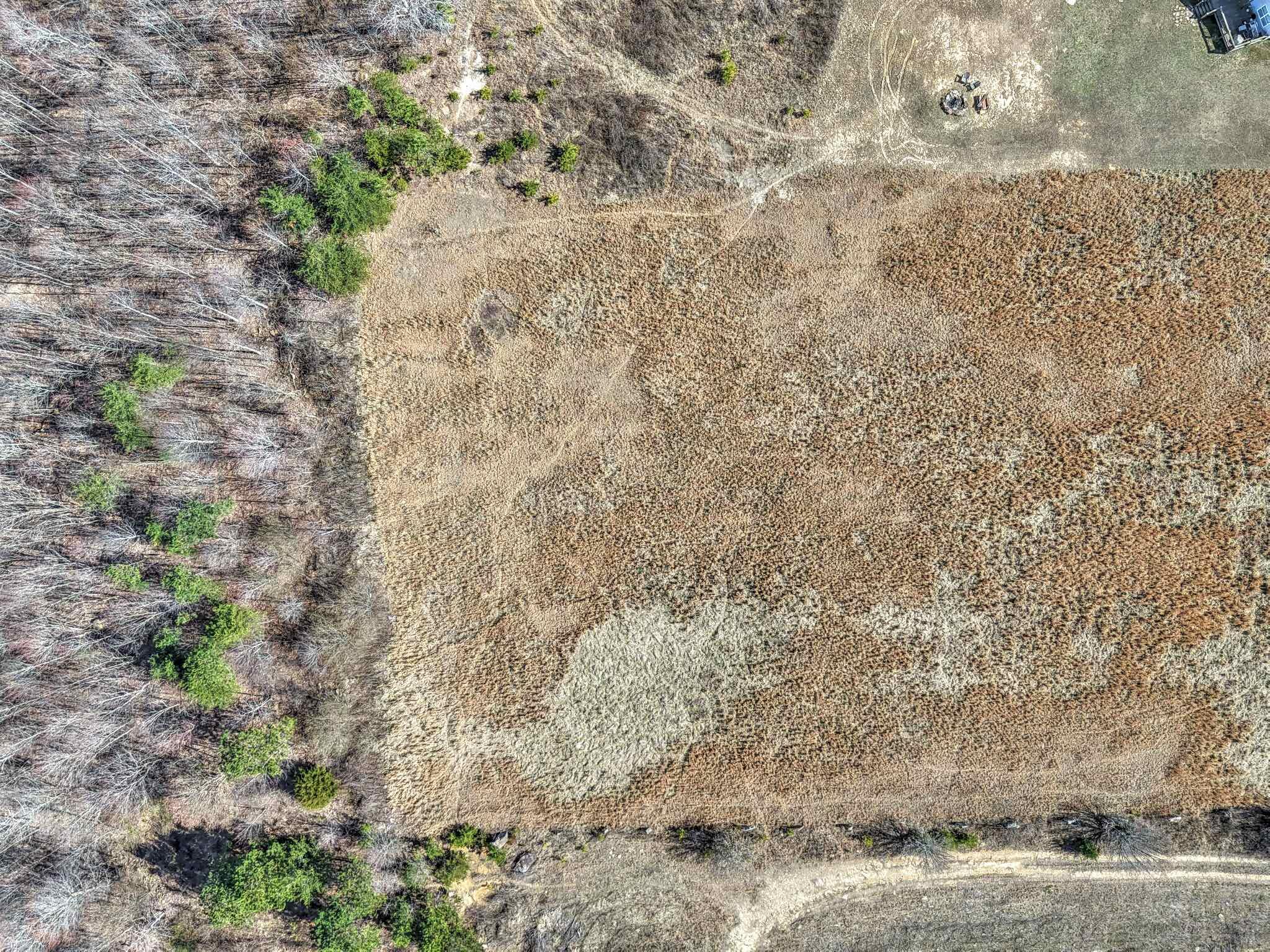Land, Bryant, Alabama image 16