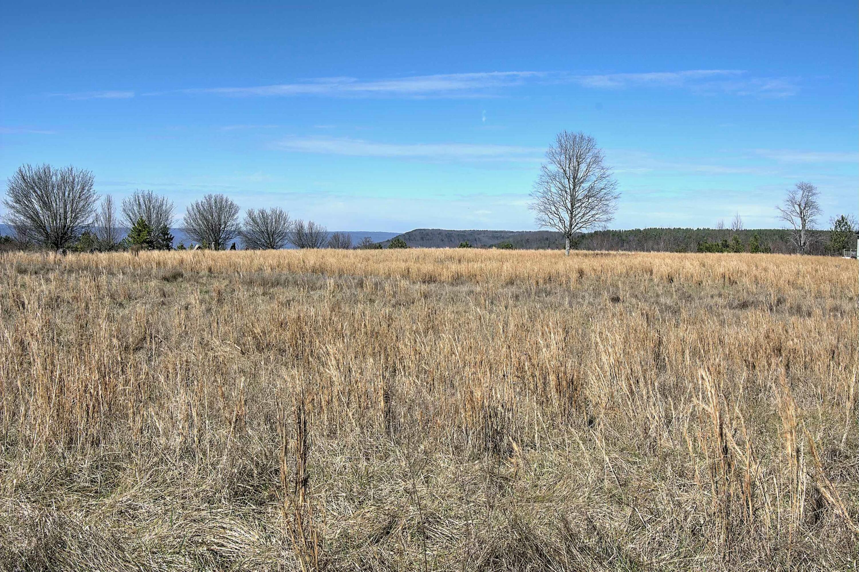 Land, Bryant, Alabama image 1