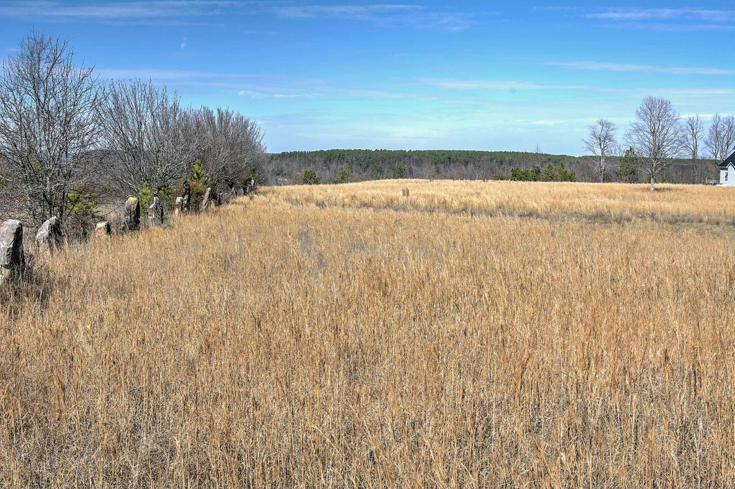 Land, Bryant, Alabama image 2