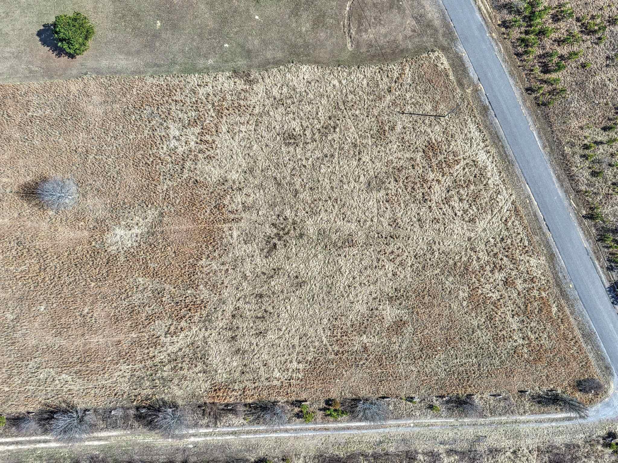 Land, Bryant, Alabama image 14