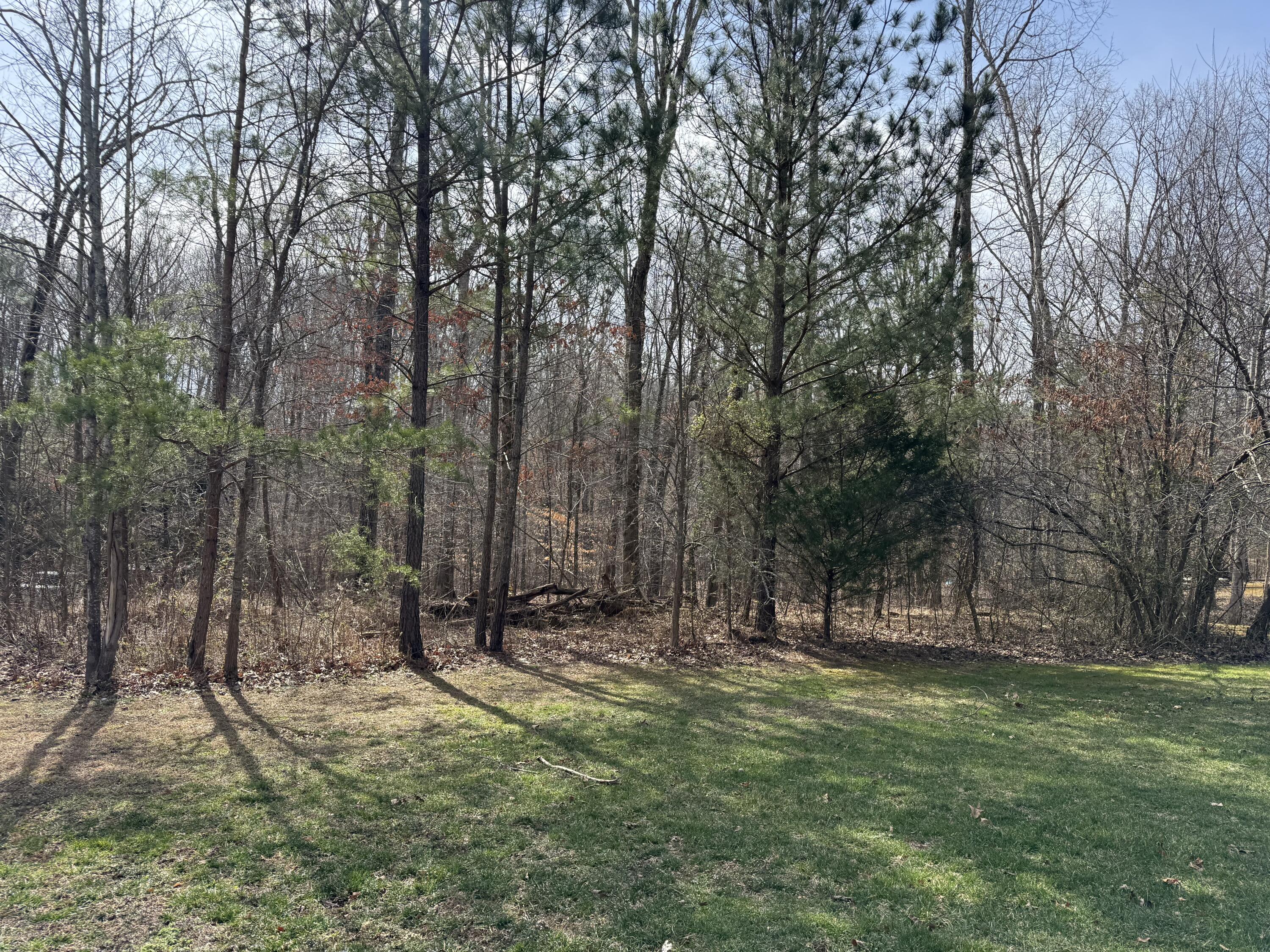 Lot 21 Mountain Creek, Cleveland, Tennessee image 2