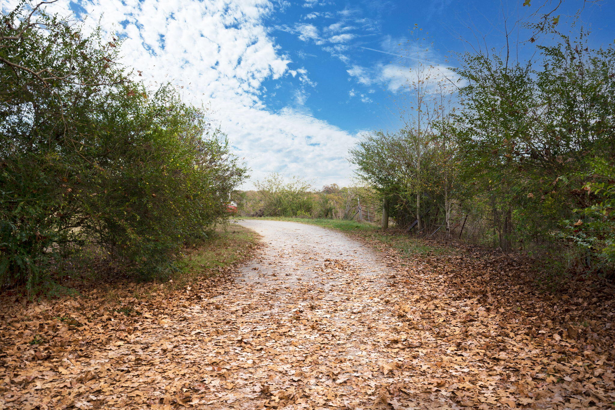 311 County Road 730, Riceville, Tennessee image 12