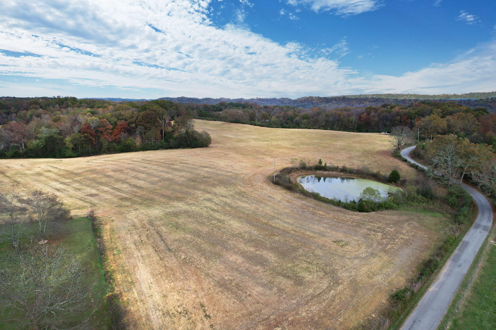 311 County Road 730, Riceville, Tennessee image 15