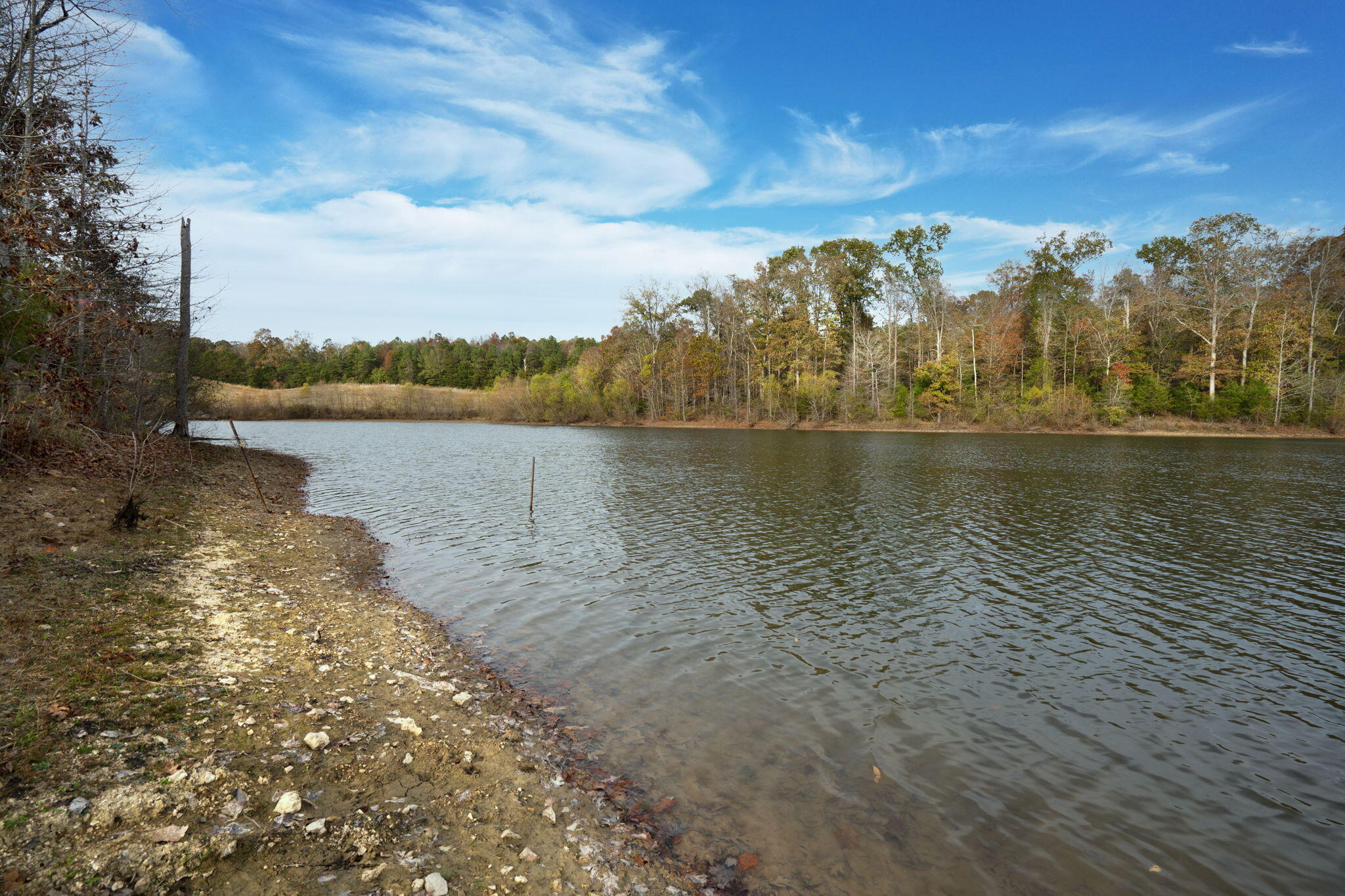 311 County Road 730, Riceville, Tennessee image 7