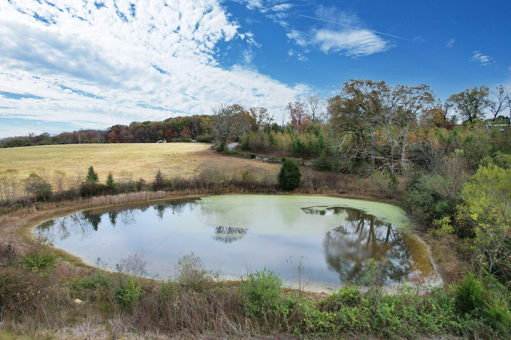 311 County Road 730, Riceville, Tennessee image 6