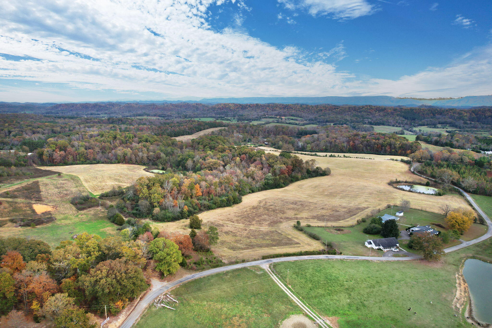 311 County Road 730, Riceville, Tennessee image 22